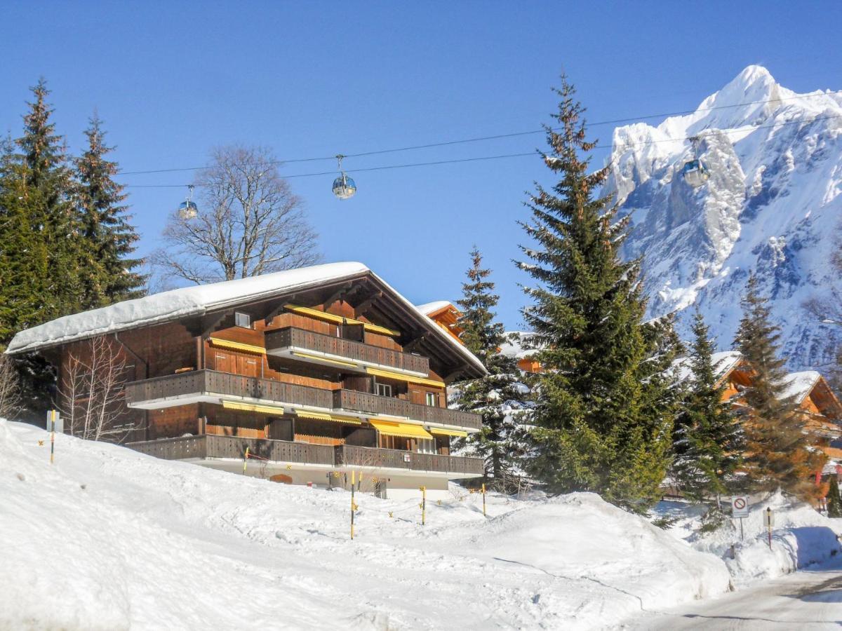 Bodmisunne-2 By Interhome Apartment Grindelwald