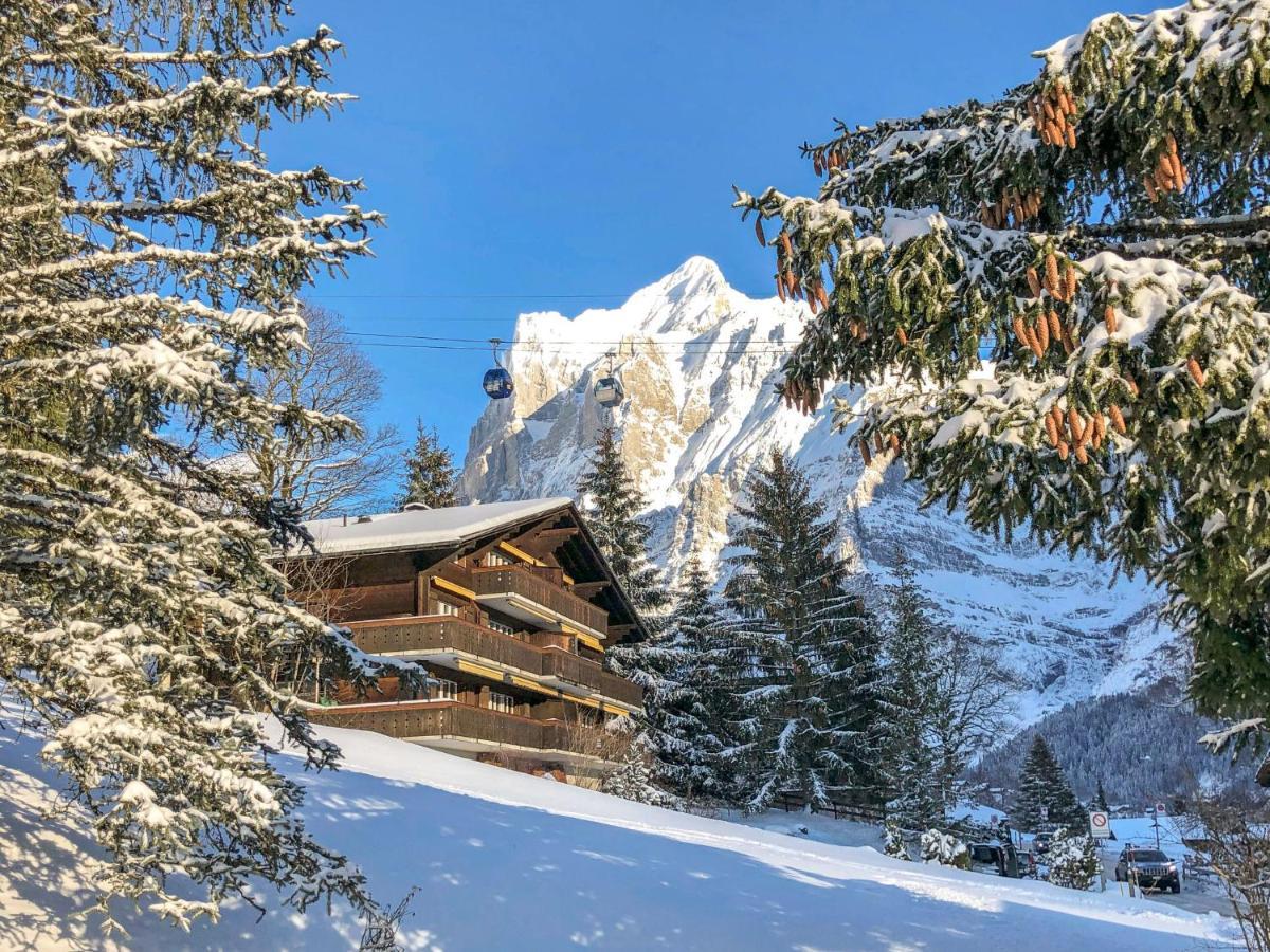 Apartment Bodmisunne-2 By Interhome Grindelwald