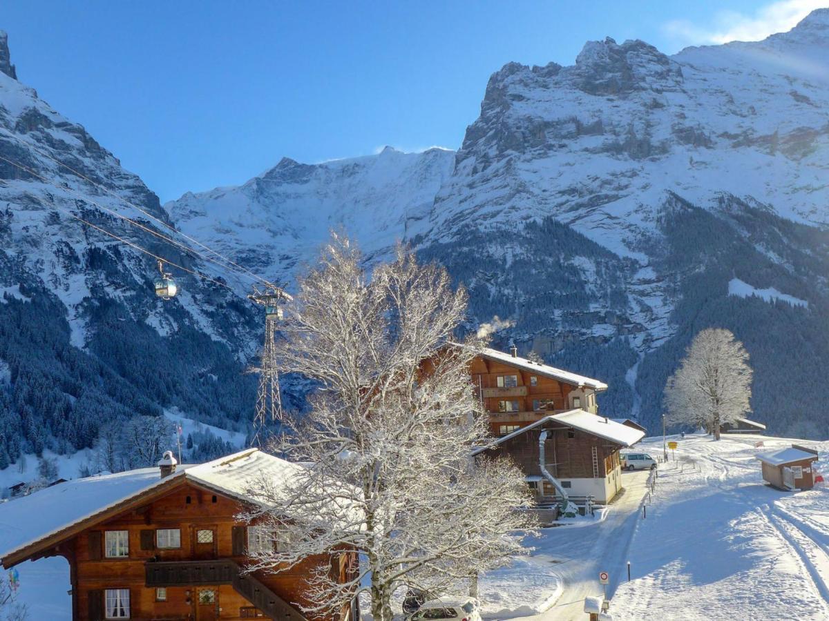 Apartment Bodmisunne-2 By Interhome Grindelwald