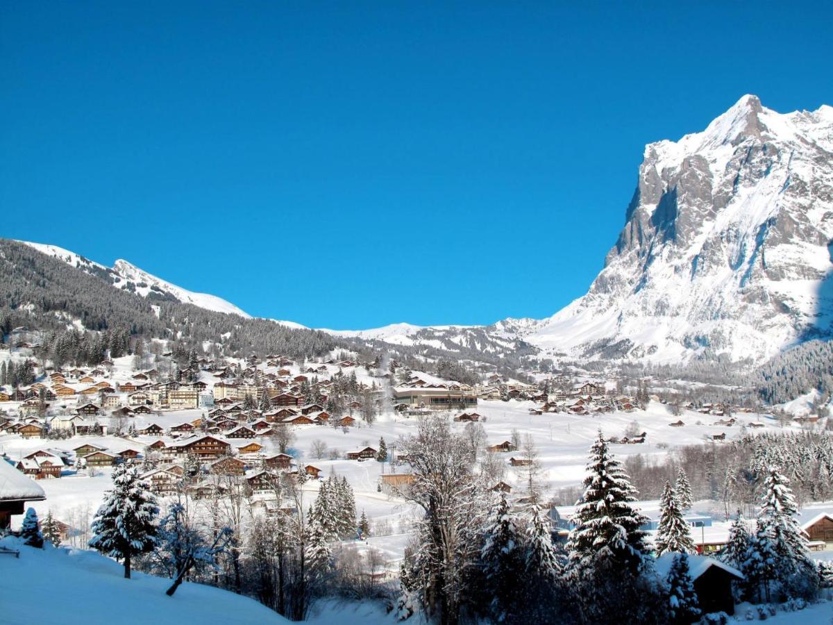 Apartment Bodmisunne-2 By Interhome Grindelwald