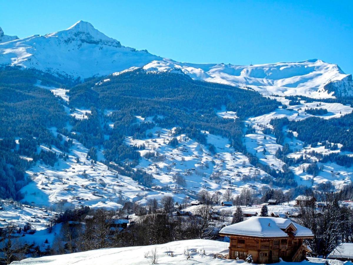 Bodmisunne-2 By Interhome Grindelwald
